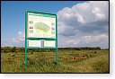 slikken van de heen natuurgebied natuur hdr Konikspaarden Uitkijktoren schotse hooglanders natuurmonumenten wisenten
